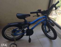 Blue Bike for Kid