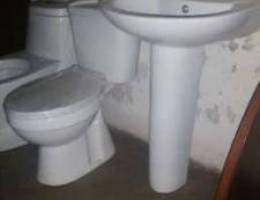 Toilet seat & sink