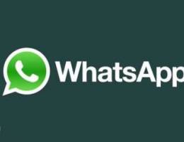 whatsapp number