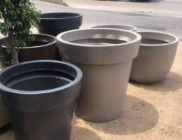 decorative plant pots