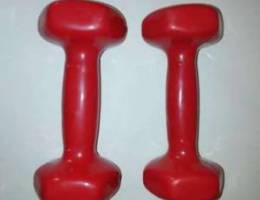 6 pcs dumbells