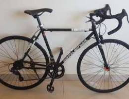 Dopple ganger roadbike