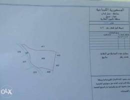 Land for sale in ghalboun jbeil