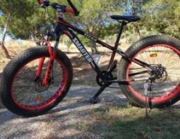 Fat bike