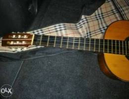 Guitar Linko used for sale