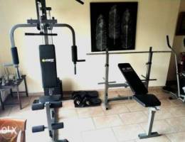 Gym equipment