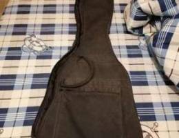 Electric guitar case