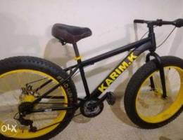 Fat bike