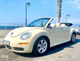 beetle for sale