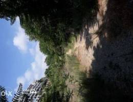 land for sale in Kfarehbab-Chnan3ir