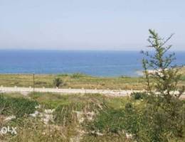 Land in Berbara with old traditional house...