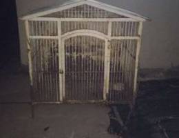 dog house