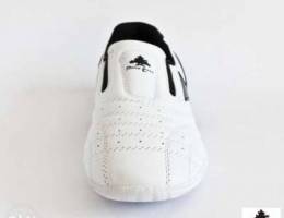 New Original Taekwondo Shoes