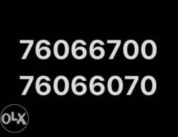 mtc special numbers