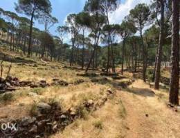 Land in Hasbaya Metn 1322m2