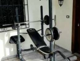 Bodybuilding gym