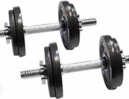 Dumbells + Barbells + Weights