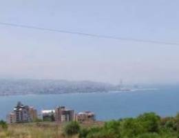 **FULL CHECK** 250Sq.In Adma Prime+ Terrac...