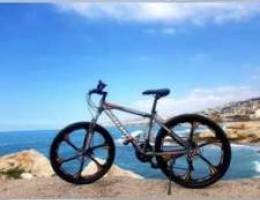 mountain bike (Galant)