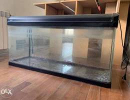 Aquarium for sale