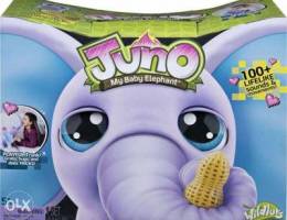 Juno my baby elephant