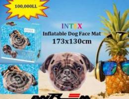 Intex inflatable cat and dog face!