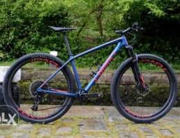 Looking for a good mtb/xc/trail bike