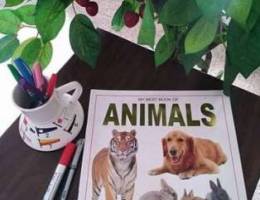 Animals photos for kids