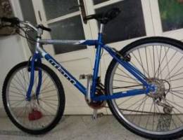 Giant bike for sale