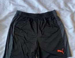 Authentic puma sport short 100000LL