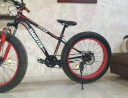 Fat bike