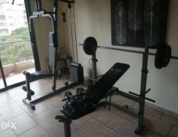 Full gym equipment