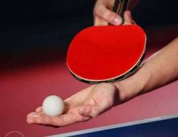 Table Tennis Racket Wooden and 3 ball Ping...