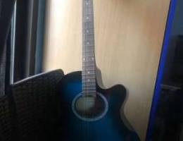 Karl Schneider Acoustic Guitar