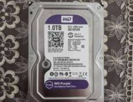 1 TB Hard Disk Western Digital WD Purple