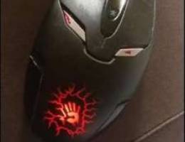 mouse bloody