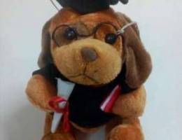 2/25 graduation plush (50000)