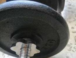 Dumbbells les for sale