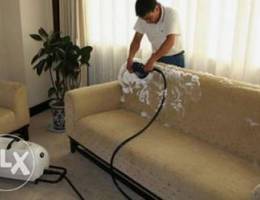 Deep Cleaner for Sofas, Mattresses, and ca...