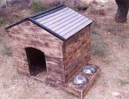 Outdoor Dog House