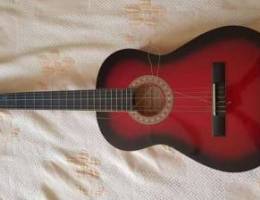 Acoustic Guitar Hans Hoffman 1$=10,000