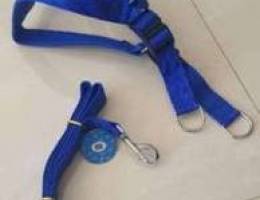 Dog Harness