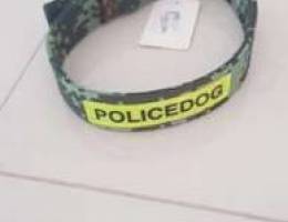 Collar for Dogs