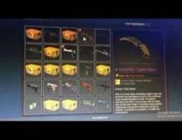 csgo skins check description