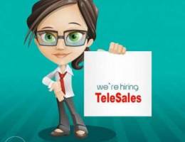 Experienced Telesales Agent