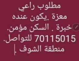 Ù…Ø·Ù„ÙˆØ¨ Ø±Ø§Ø¹ÙŠ Ù…Ø¹Ø²Ø© Ù…Ø¹Ø§Ø´ 1,400,000L.L Ù£Ù  Ø±Ø§Ø³ .