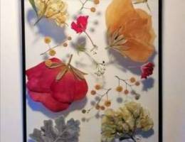 Amazing Pressed natural flowers and leaves