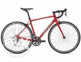 Small Giant Brand Road Bike