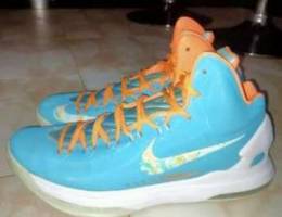 Nike Zoom Kd V 5 Easter Light Blue