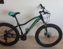 Speedmax mountain bike